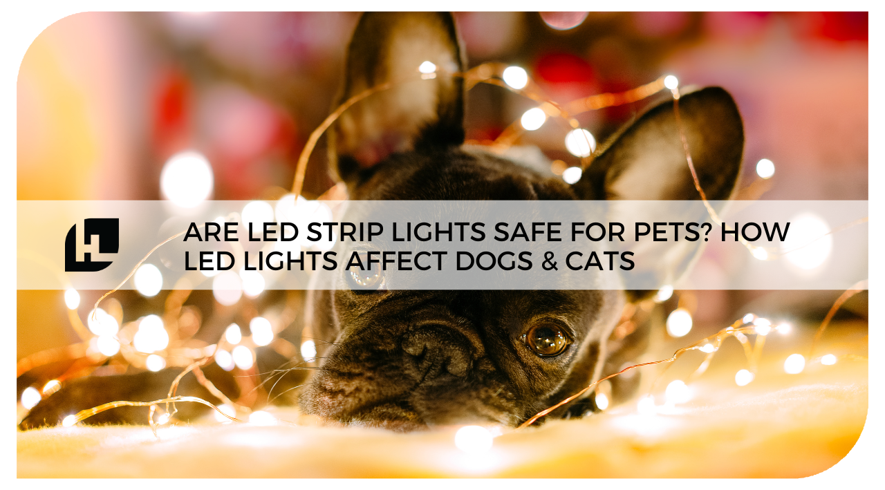 LED strip lights safe for pets