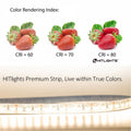 HitLights Single Color LED Light Strips Premium Luma20 (2835) LED Light Strip, Single Color (UL-Listed) 10 Feet - High Density [IP-30]